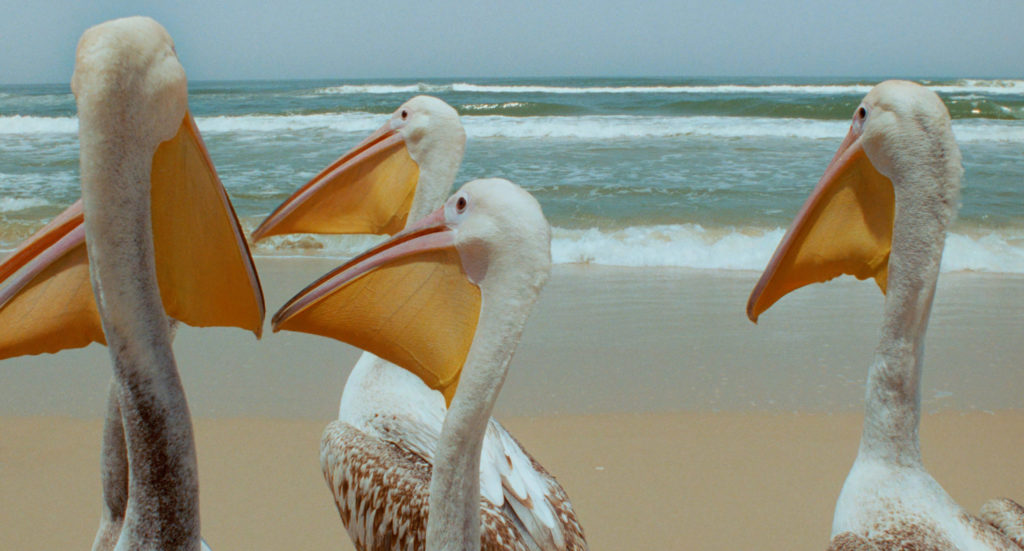 Image tirée du film à l'affiche