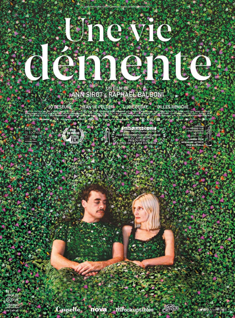 Affiche du film UNE VIE DEMENTE
