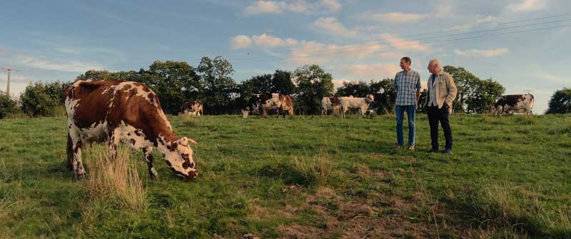 Image tirée du film à l'affiche