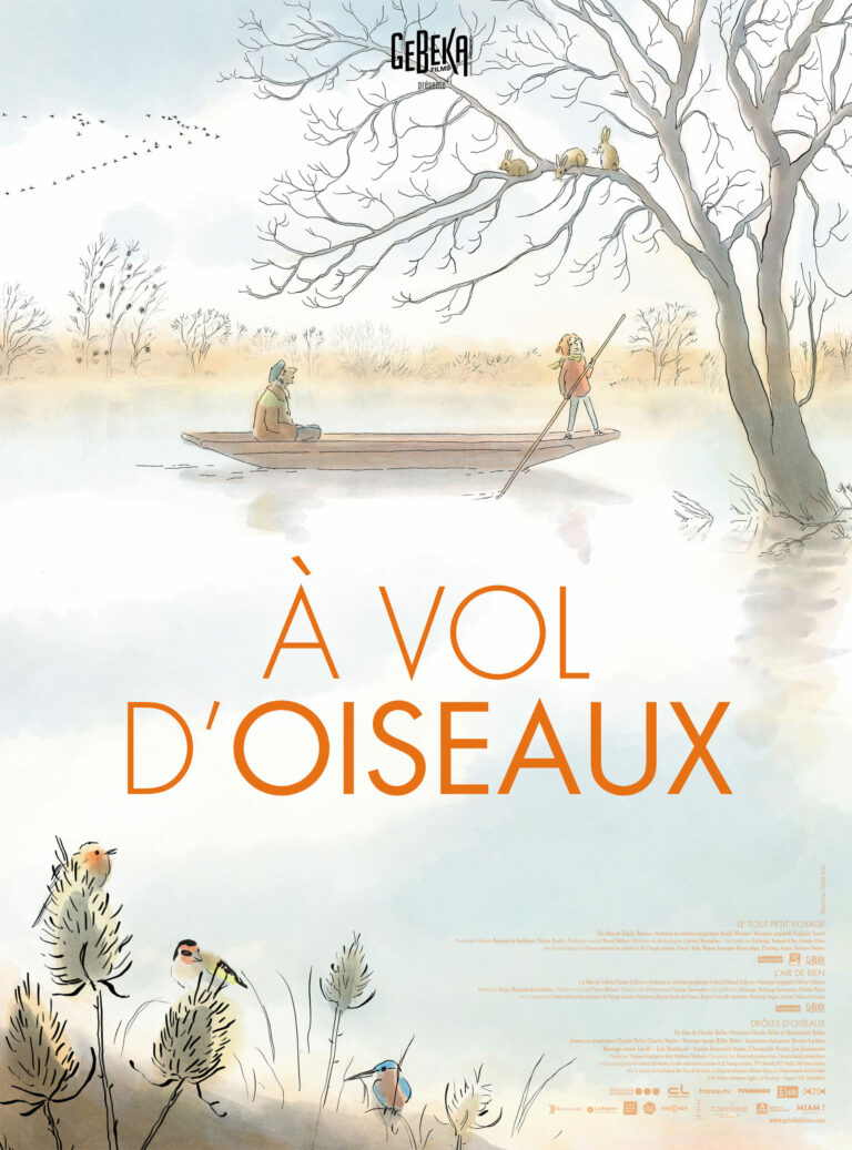 Affiche du film A VOL D OISEAUX