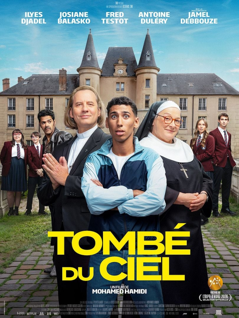 Affiche du film TOMBE DU CIEL